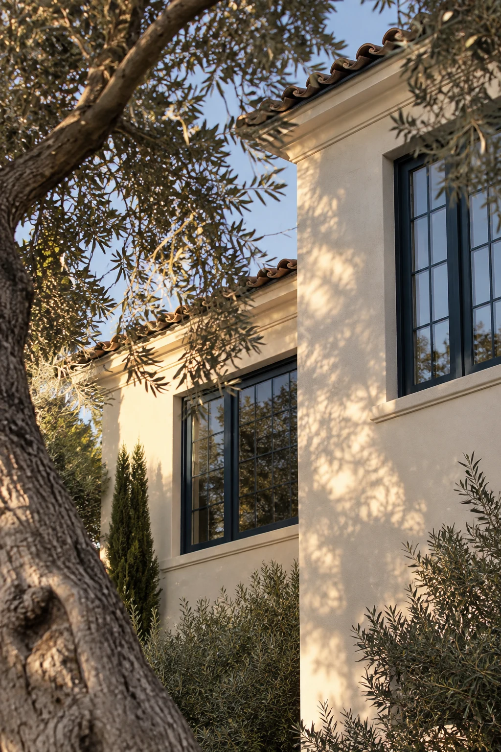 Olive branches and sunlight across a residential facade